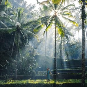 Meet your Posher, Niss